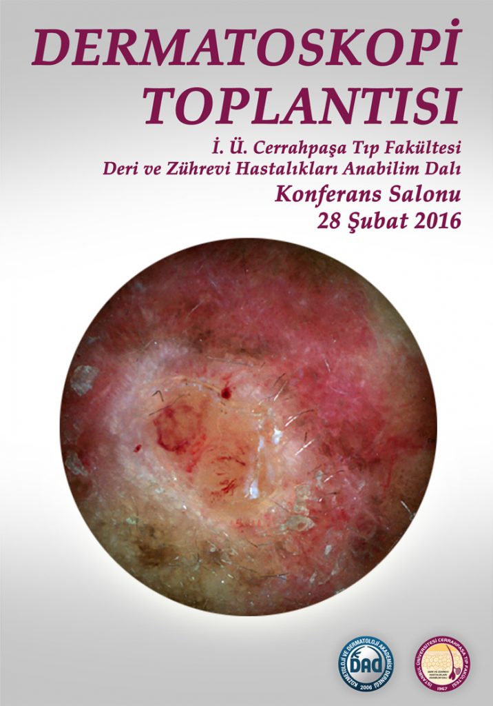 dermatoskopi-top-2016